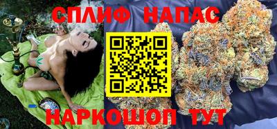 сатива Балаково