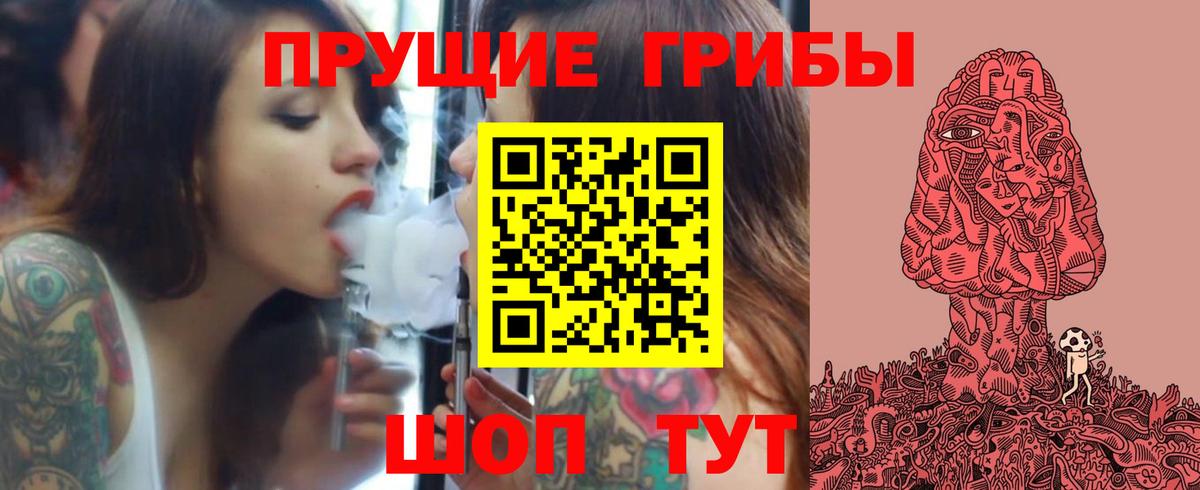 Донской  Галлюциногенные грибы Psilocybine cubensis  Вход с VPN  Псилоцибиновые грибы GOLDEN TEACHER 
